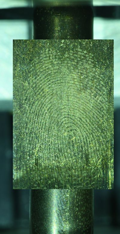 Fingerprints From Shell Casings