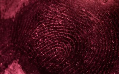 Longwave Reflected UV for the Enhancement of Cyanoacrylate Fumed Fingerprints