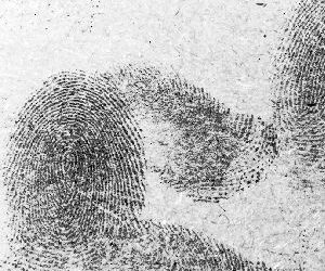 Visualising Fluorescent Fingermarks Developed Using 1,2 Indandione