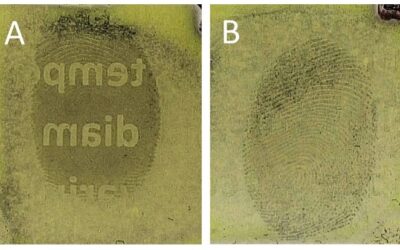 Forensic disciplines combine to develop new fingerprinting technique that could help spot document fraud