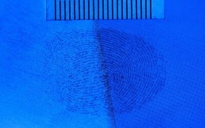 DCS 5 Applications: Contrast Imaging for Fingermark Photography