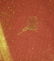 Blood 445nm Illumination + 495nm Filter